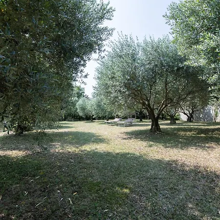 Διαμέρισμα Al Calice